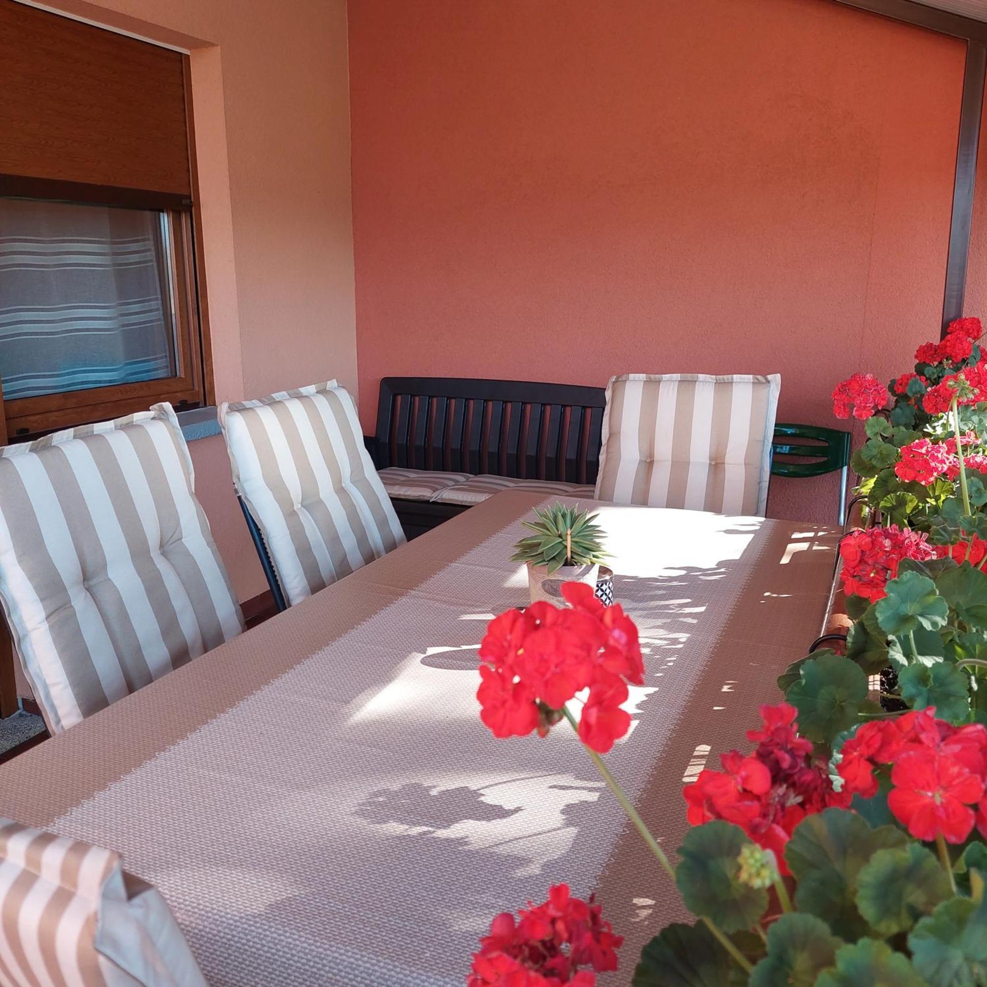 Apartman Branka Labin  Exteriér fotografie